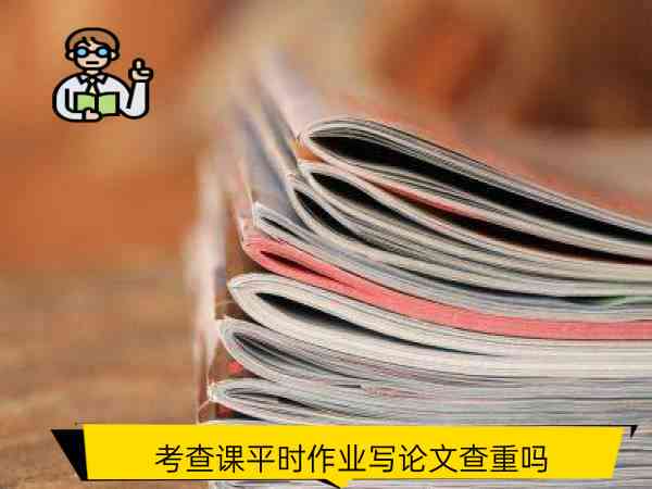高校学生日常作业论文查重实情况探究