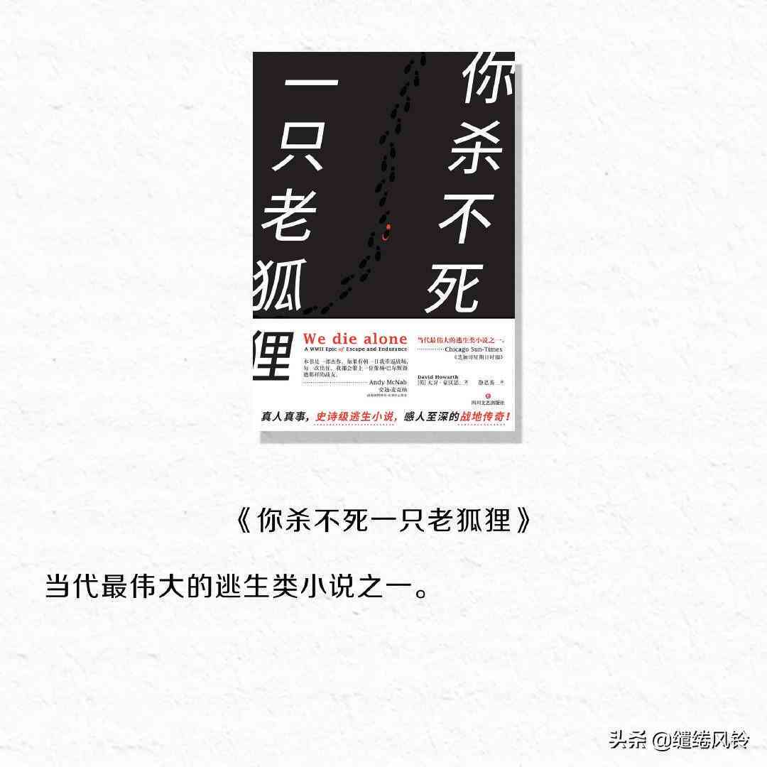 探索文学之韵：清风作家的创作历程与作品精选解析