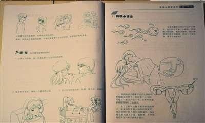 中国娃娃手工制作完整教程：步骤详解与材料清单，全方位满足制作需求
