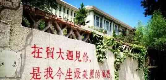 探索建筑奥秘：资深建筑学长经验分享之路