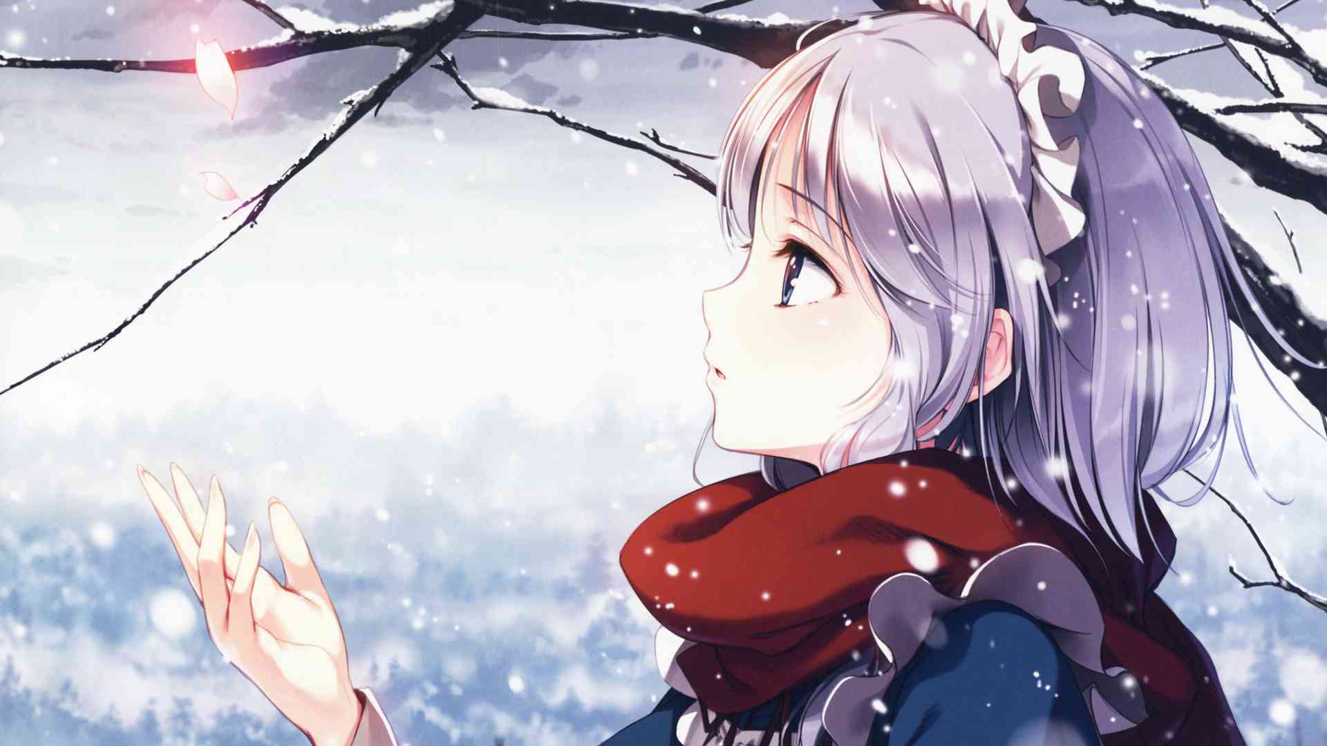 二次元动漫制作：软件、教程、过程及手机中文版
