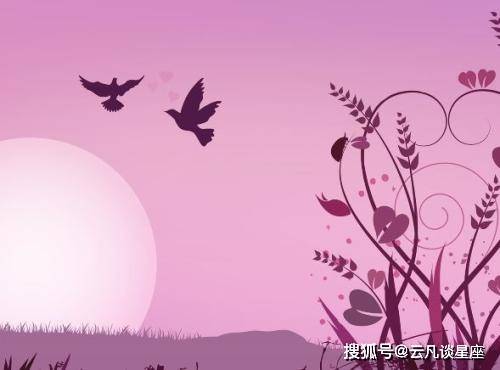 情侣长文案柔：甜蜜长句与长篇大论，诠释情侣间的柔细语