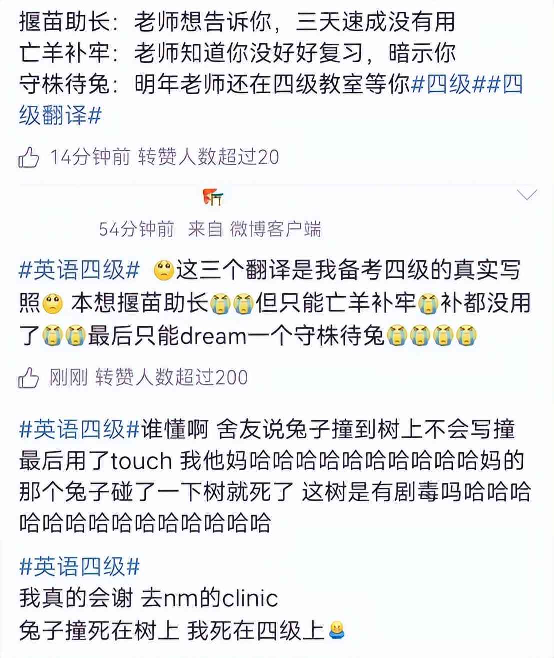 揭秘四级写作与翻译得分技巧：全面分析分数分布与提升策略
