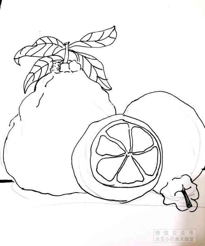 水果插画设计说明：创意线稿与设计模板范文汇编