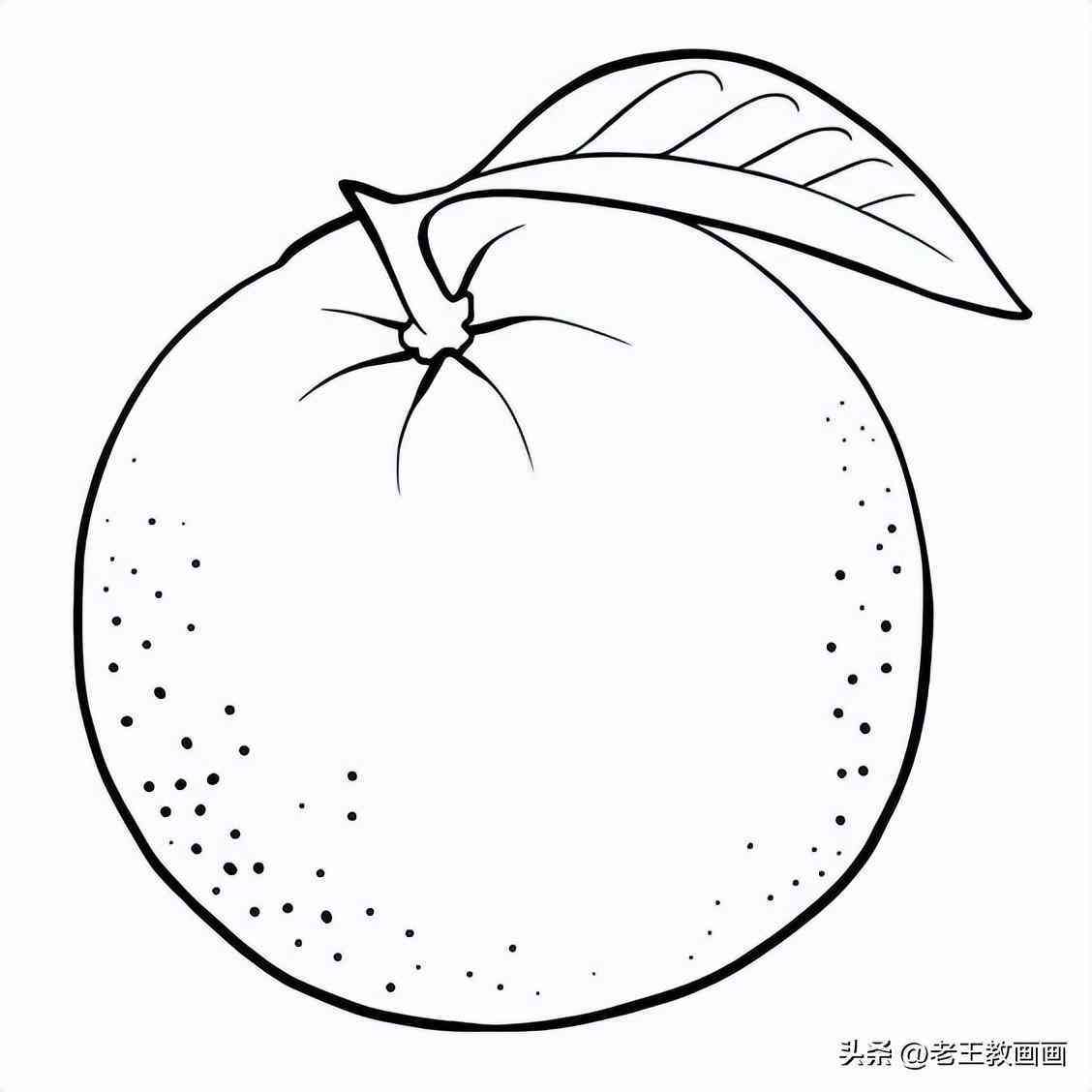 水果插画设计说明：创意线稿与设计模板范文汇编