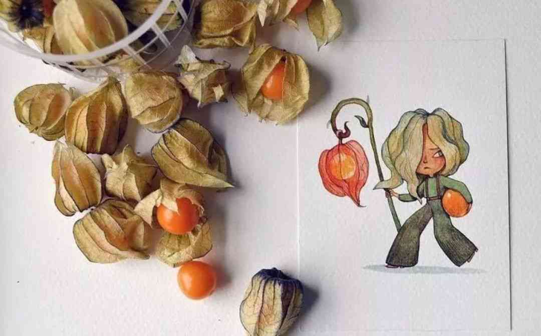 创意果味插画集：探索美水果的艺术魅力