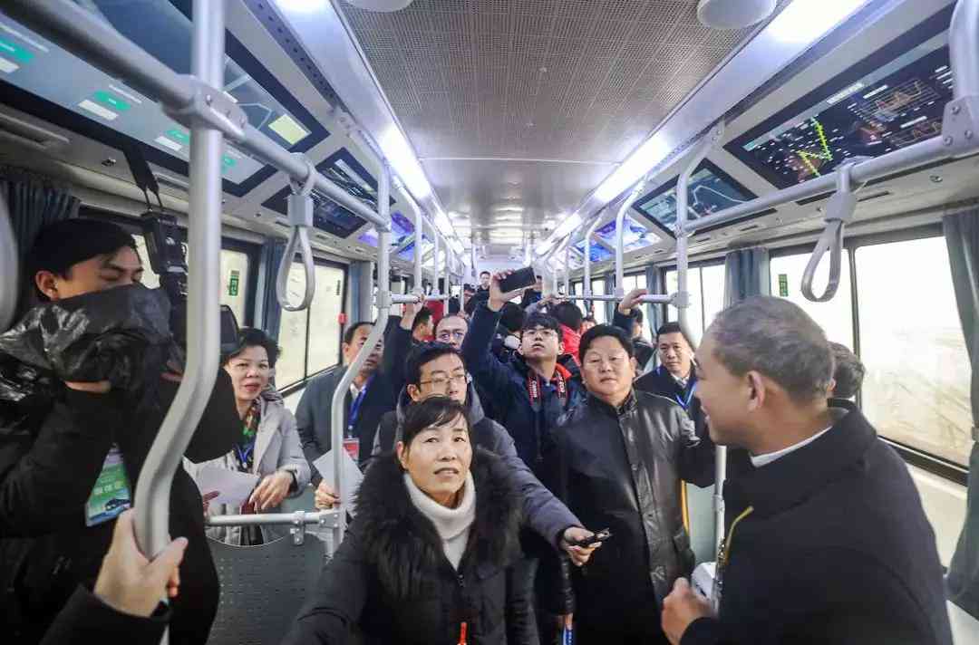 人工智能编程与实践：AI软件实训项目总结报告