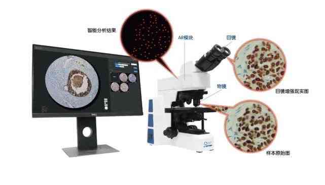 AI程序怎么做：从编写原理到实现步骤详解