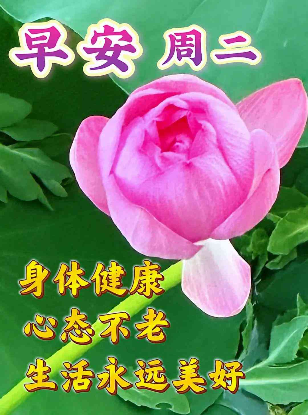 AI魔法焕新：一键打造完美美女文案，解决形象提升与内容创作全攻略