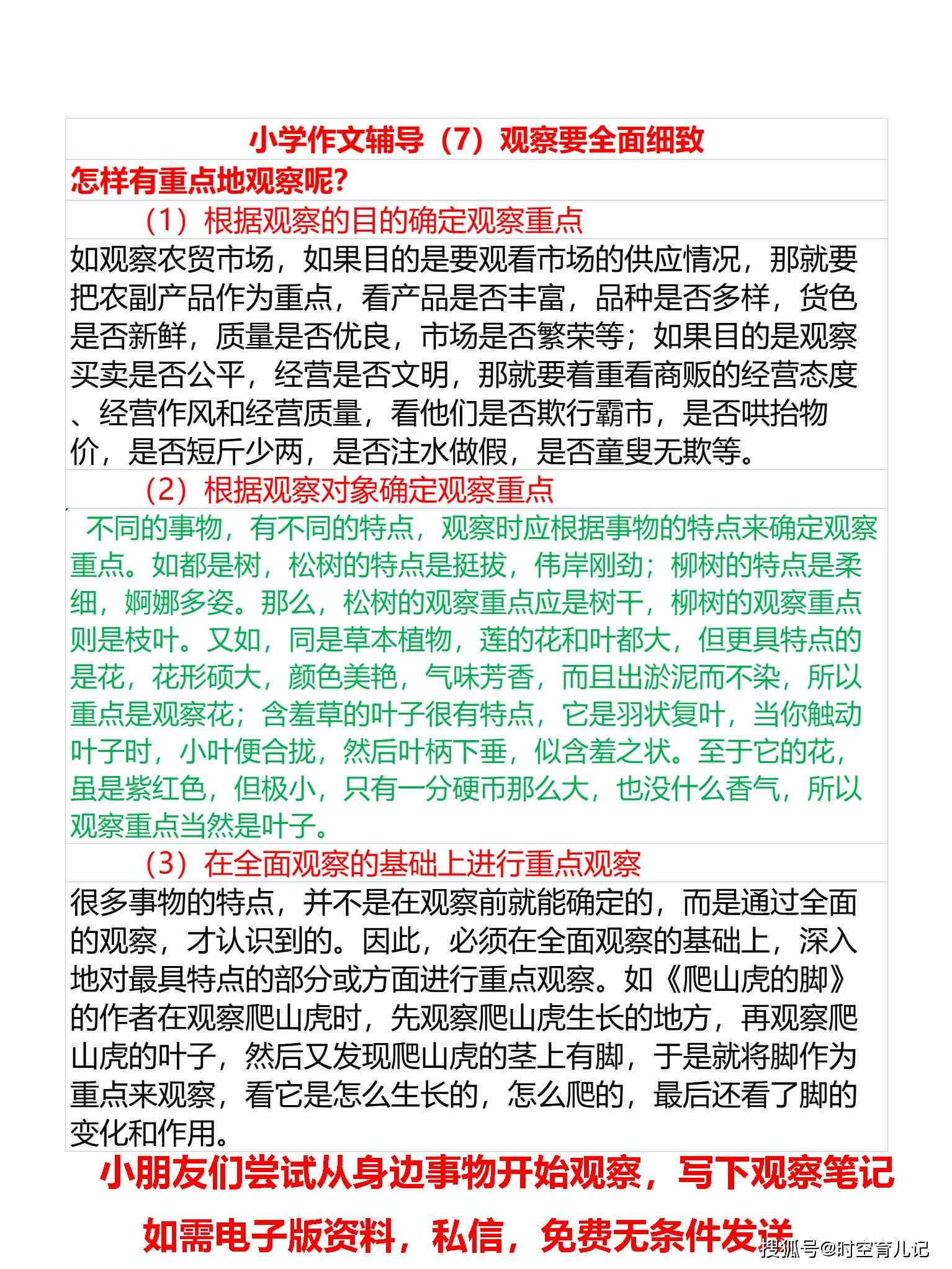 一站式作文辅导：全面解决作文写作难题与作业帮手