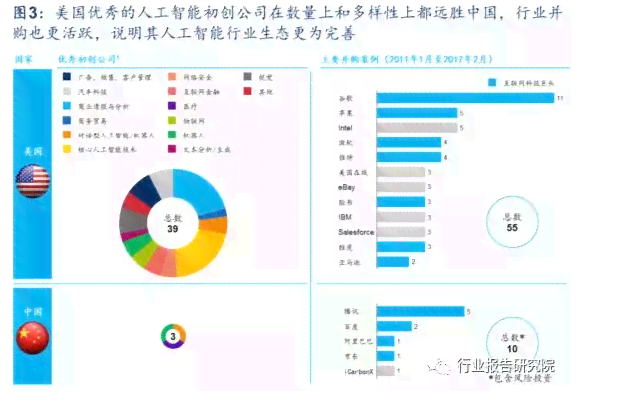 如何解读中检AI鉴定报告：详解结果分析方法