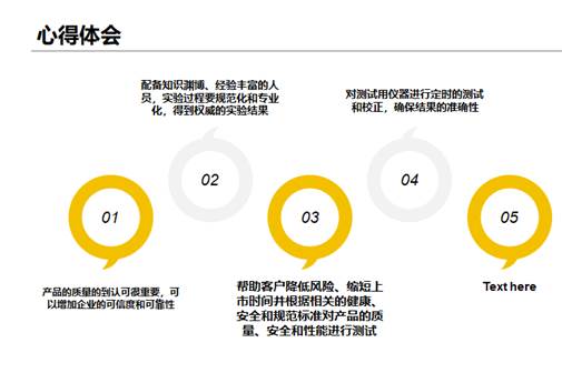 综合UI与AI实训报告：深入总结与用户体验优化策略分析