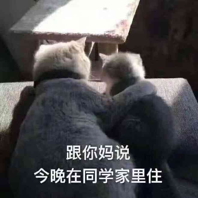 个性化搞笑：打造专属你的沙雕风格