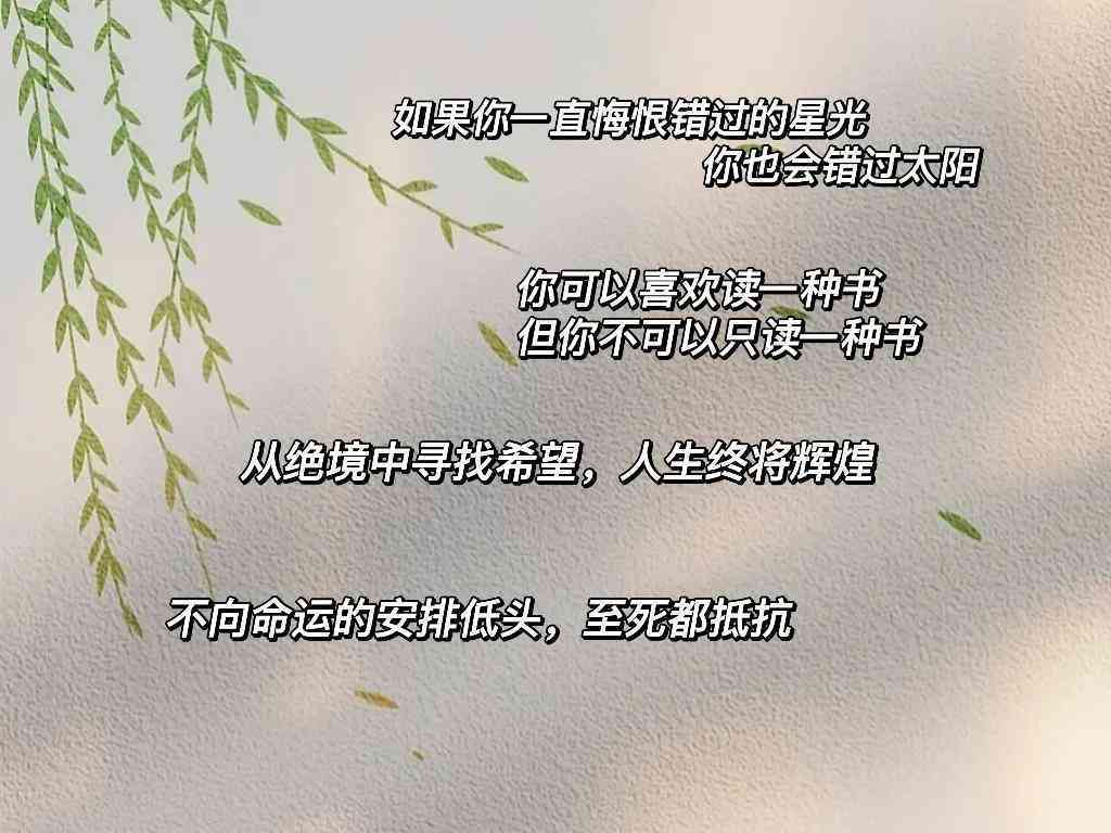 全面解析：直播行业必备AI文案生成工具盘点与功能对比