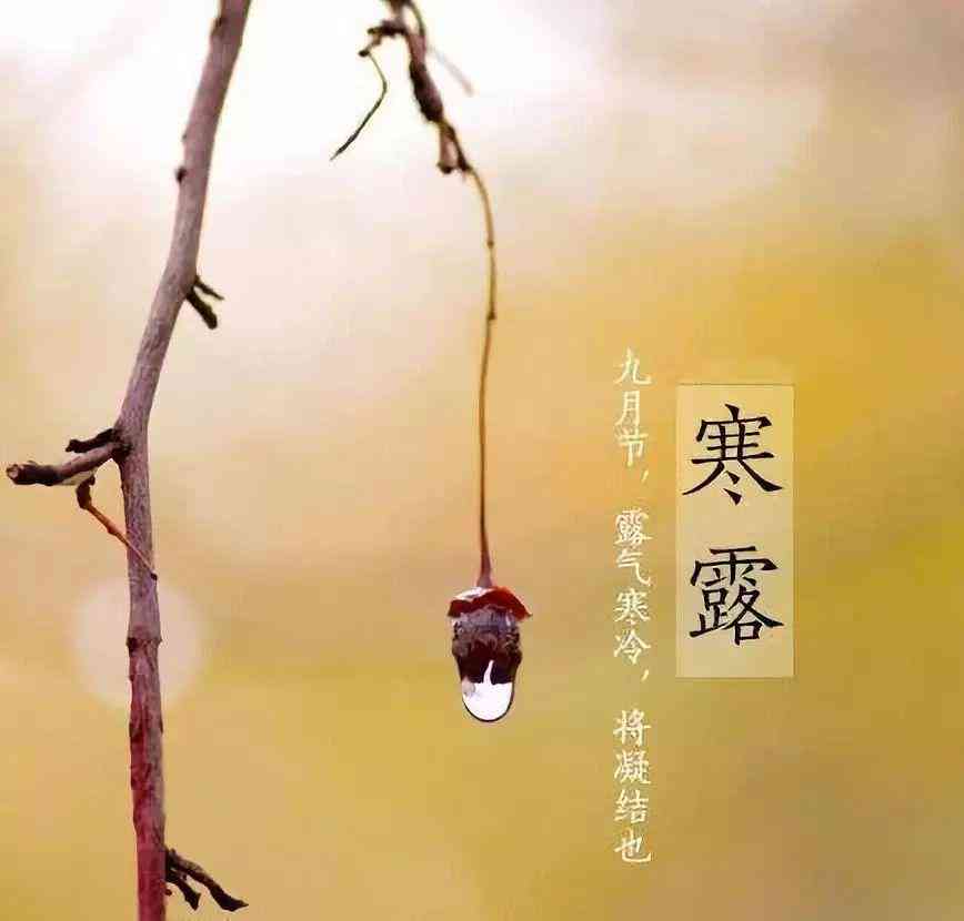 幼小文案：幼儿园干净治愈短句，幼儿文案精选集