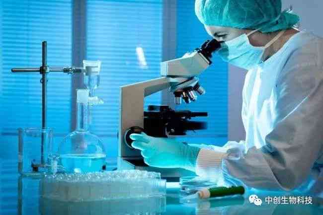 创新型生物共振疗法设备——高效检测与治疗一体化仪