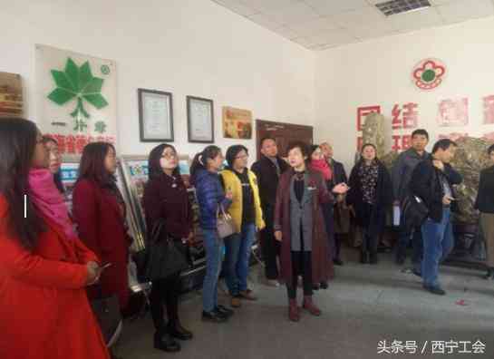 生物共振疗法设备：精准调理与修复的科技利器