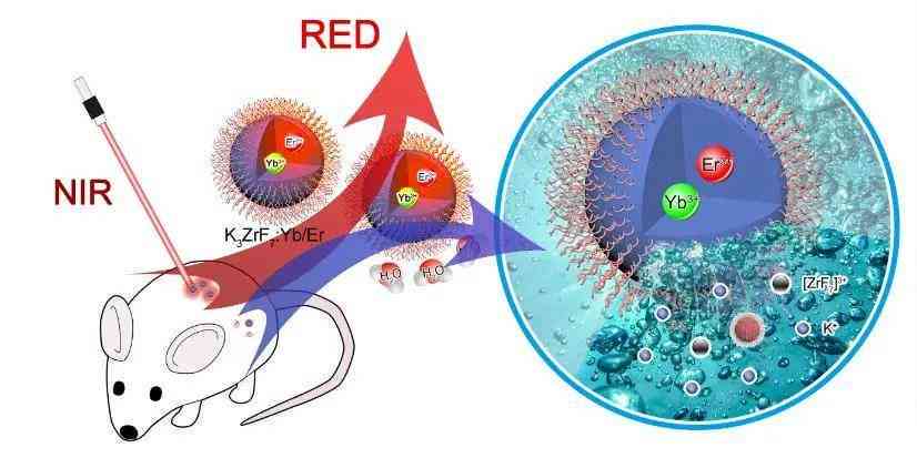 生物共振疗法设备：精准调理与修复的科技利器