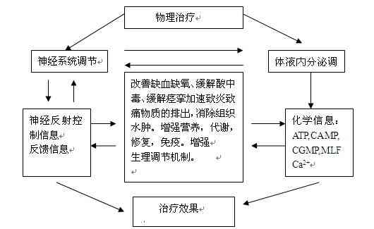 全面解读生物共振物理治疗：原理、应用与常见过敏性疾病解决方案