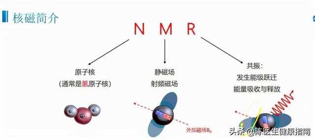 生物共振检测多少钱：一次费用及检测原理详解