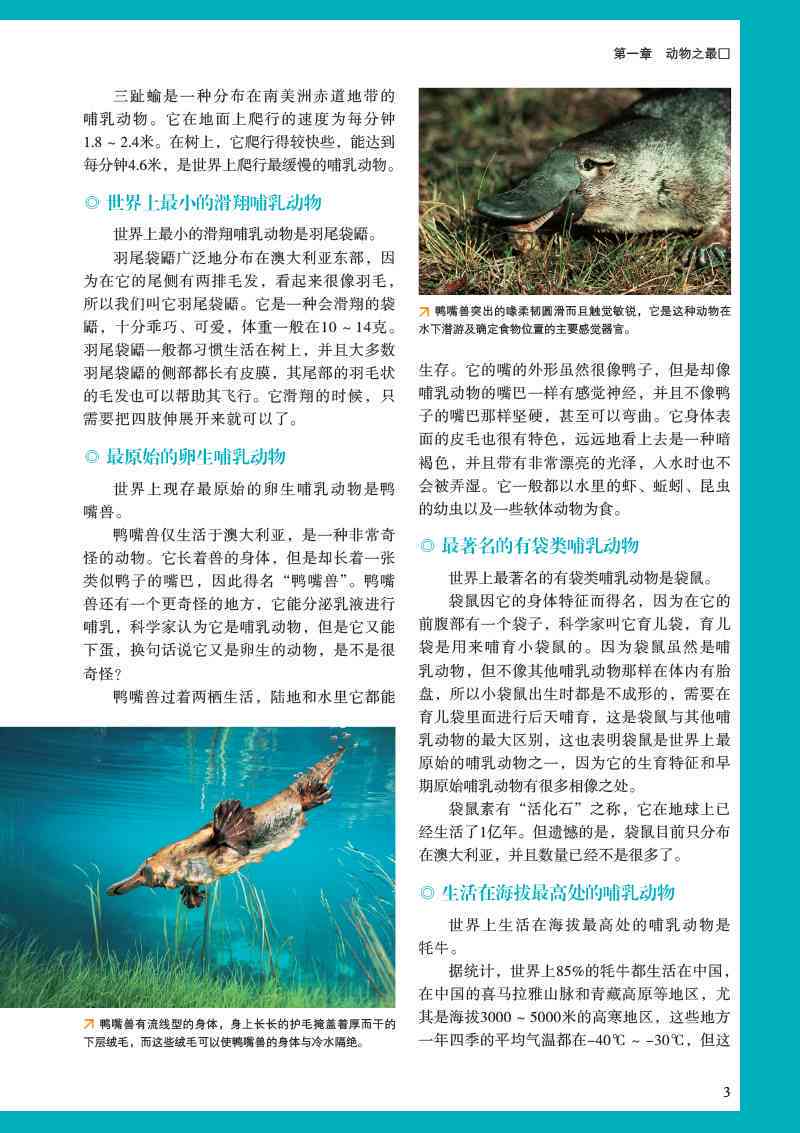 小皮小皮：探索自然奇观与野生动物奥秘的极指南