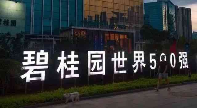 地产领域精华选粹：建筑设计与开发成果集锦