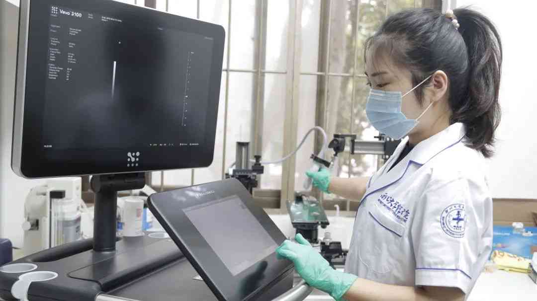 医学超声信息整理与分析专员