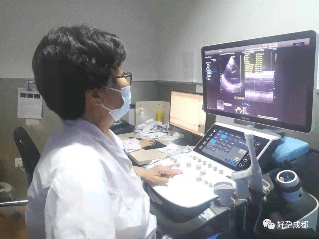 医学超声信息整理与分析专员