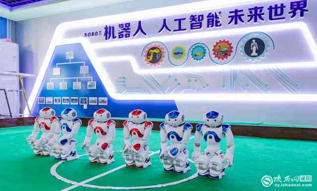 人工智能软件实训项目综合评估与技能提升总结