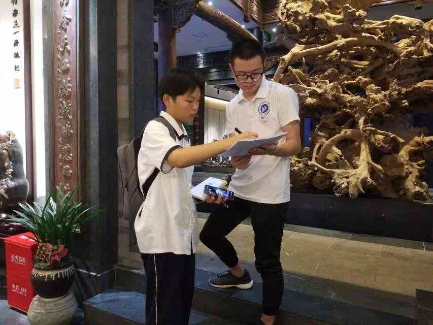 湖南浏阳：石雕艺术之光，揭秘菊花石雕刻工艺传承之美