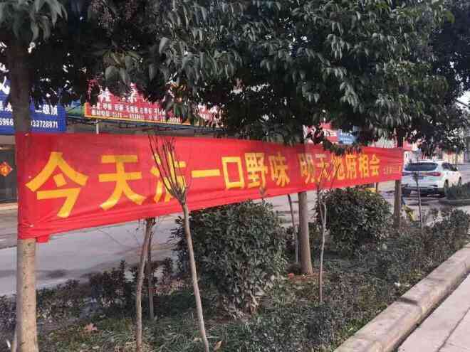 深度解析：文案在企业运营中的多重角色与价值体现