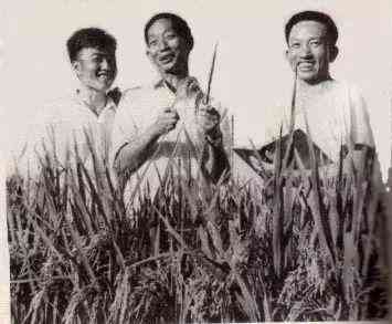 '智能内古论文写作助手——官方网站·AI辅助写作平台'