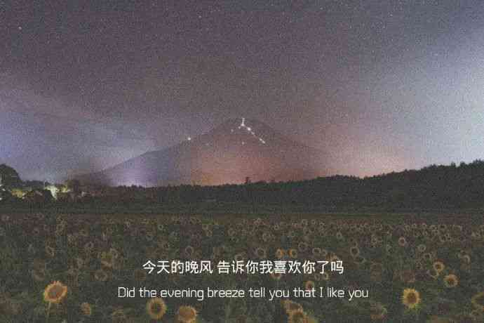 情感解析：深析长篇伤感爱情文案，探索心灵深处的悲喜共鸣