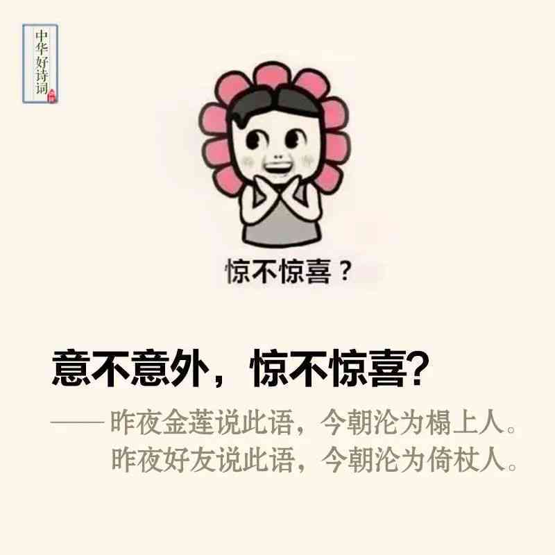 揭秘木木子网络流行语的深层含义