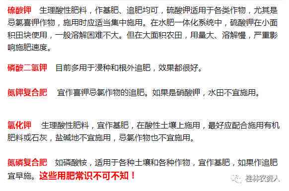全面解析：投降式情话的多种表达与心理效应