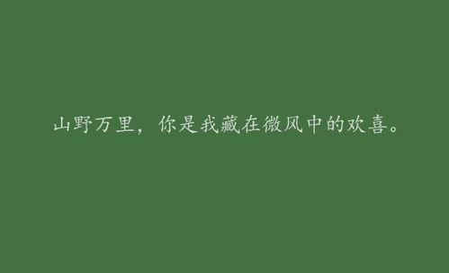 甜蜜AI：情侣创意文案，打造朋友圈浪漫告白时刻
