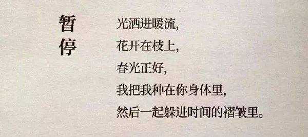 沉醉的字句：情感交织的文案迷恋