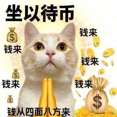 深入探讨：猫咪创作与智能AI操作的区别及相似之处