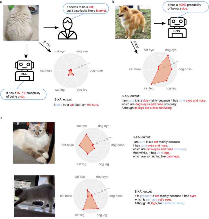 深入探讨：猫咪创作与智能AI操作的区别及相似之处