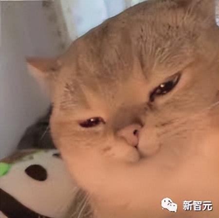 百度论文ai生成写作