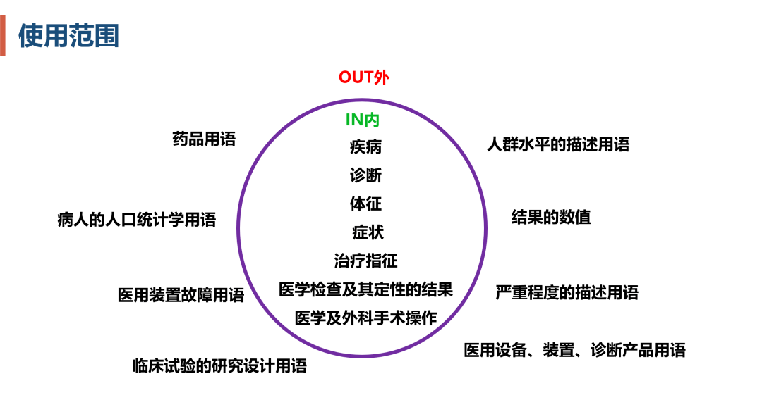 全面解析医疗报告：专业术语解读与疾病风险评估指南