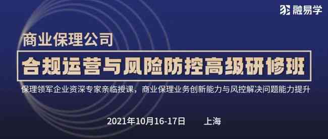 全面解读AI科技团队：核心成员、技术实力与服务案例一览