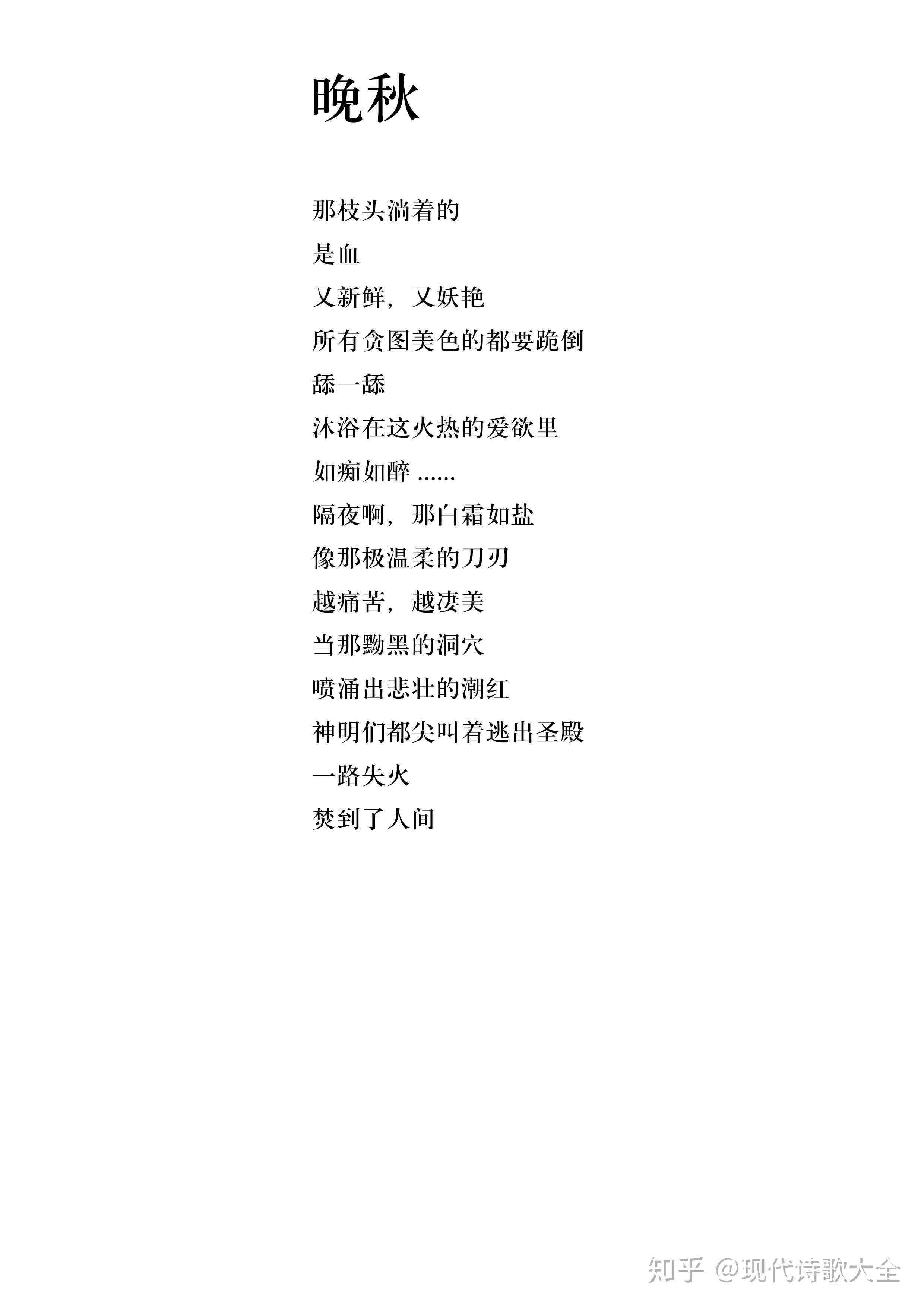 关于影像的文艺句子：摘抄与简短汇编，含诗句精选