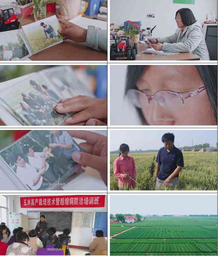 全方位爱情旁白文案攻略：涵情感表白、浪漫表白、爱情心语等多种场景应用