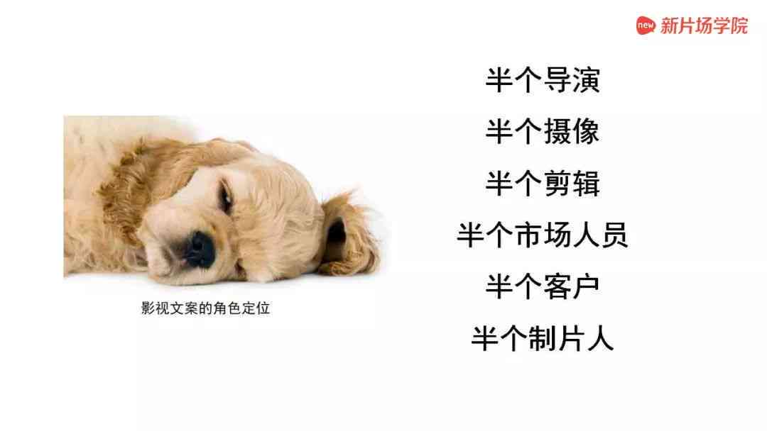 传片文案怎么写吸引人：打造高手级传文案技巧与话术