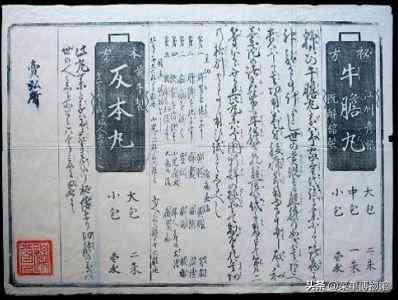秘塔写作猫手机能吗：官网教程与链接一览
