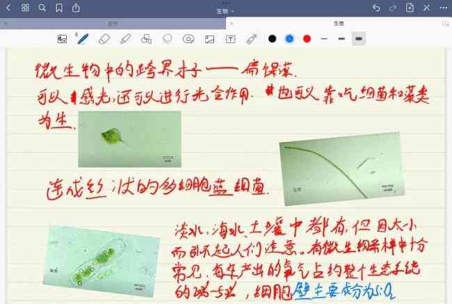 小红书文案创作指南：全方位攻略，助你打造爆款笔记与吸引粉丝秘