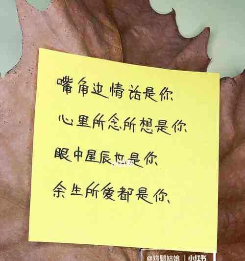 情感爱情文案：揭秘情侣间的心动瞬间与深情表白，捕捉浪漫故事里的泪与笑
