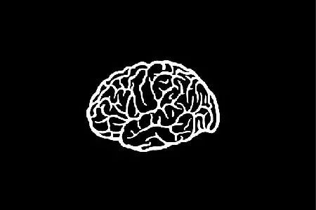 AI怎么画大脑及头像：揭秘绘制技巧