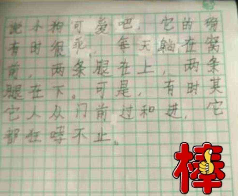 仿写小猫作文：二年级至三年级下册300-500字